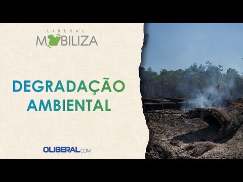 Vídeo: Sobre os meios de degradação ambiental?