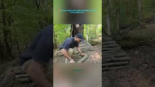 🌳 पेड़ के अंदर बना गुप्त आश्रय | कमाल की जंगल सर्वाइवल कला 🔥🏕️#shorts