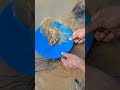 Panning for gold in rust that has gold potential✨
