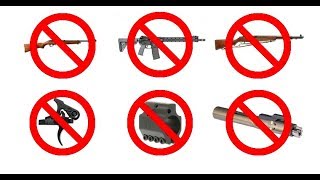 H.R. 3999 Gun Control Legislation
