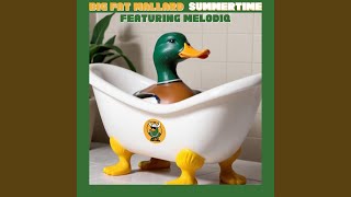 Summertime (feat. Melodiq)