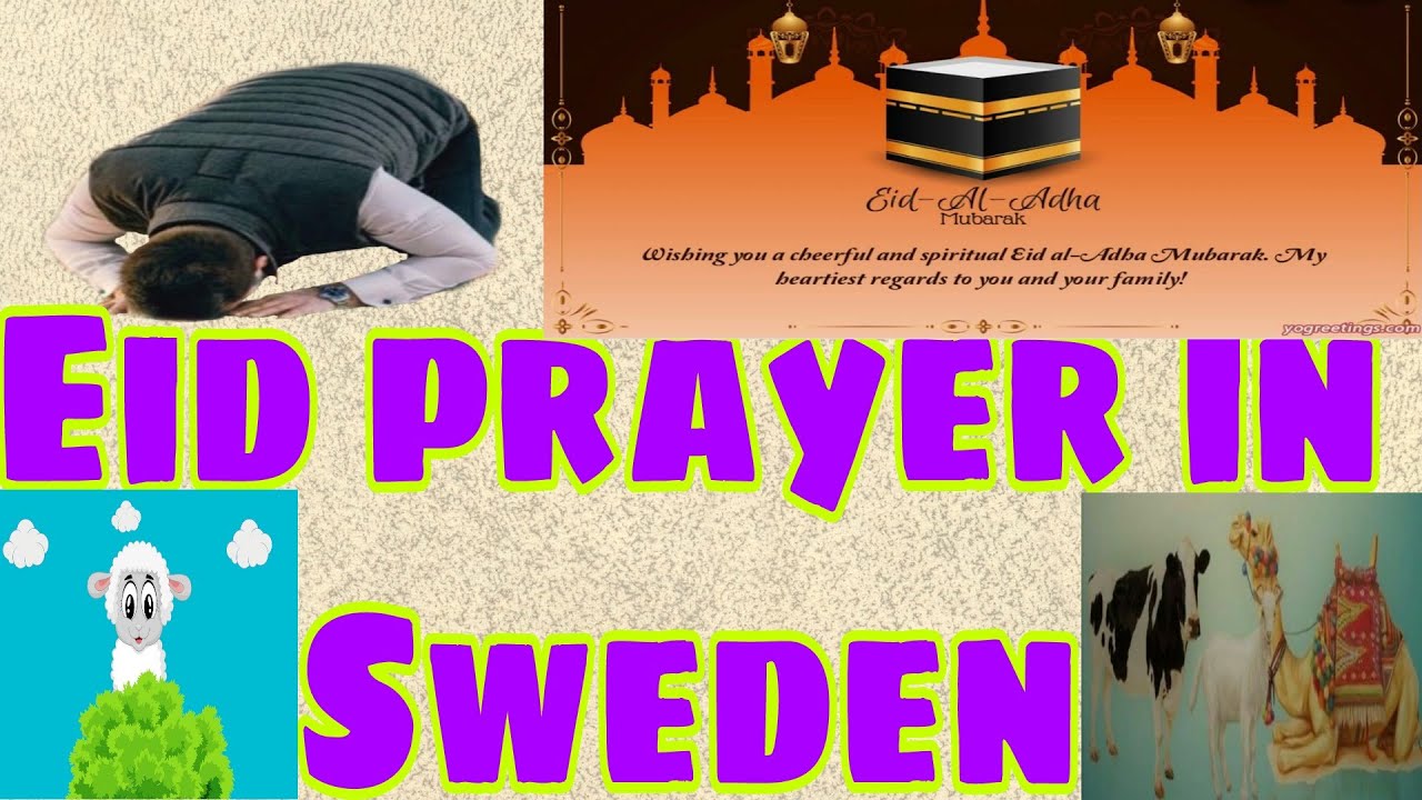 Eid prayer in sweden |wallazina aamanoo |