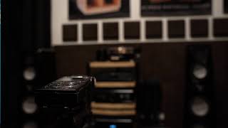Von Schweikert Audio VR-55 Active - Dan D’Agostino Progression - Soft screenshot 3