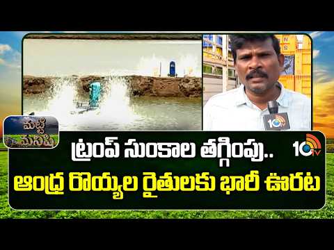 US Tariff Reduction |Relief for Aqua Farmers |ట్రంప్ సుంకాల తగ్గింపు.. ఆంధ్ర రొయ్యల రైతులకు భారీ ఊరట - 10TVNEWSTELUGU
