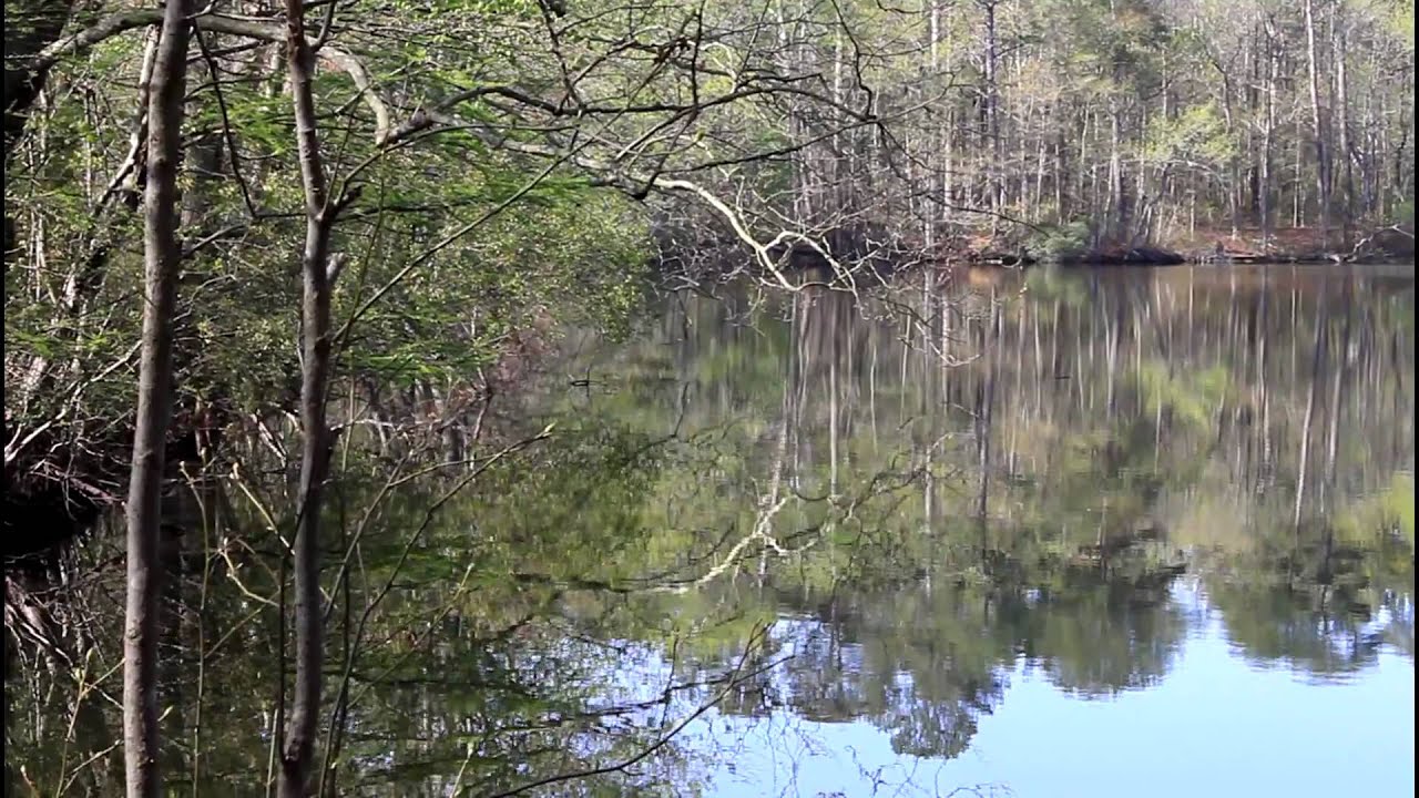 Lake Smith Virginia Beach YouTube