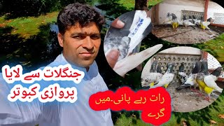 Geeth k 12 kabotria Janglaat Say Laya Geethi Piece|| جیٹھ میں اسو میں رات رات