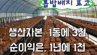 귀촌마니/ 톱밥배지 표고버섯에 대한 수익공유
Disclosure of revenue for shiitake mushrooms