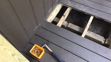 Here’s Why You Should Always Use Screws Instead Of Nails on Decks