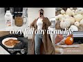 cozy fall day in my life: baking, fall clothing haul, pumpkin patch, painting pumpkins + more!