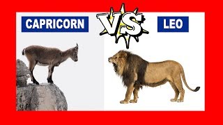Capricorn vs. Leo: Who Is The Strongest Zodiac Sign?