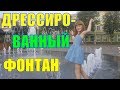 ВЕСЕЛЫЙ ФОНТАН. КАК МЫ ВЕСЕЛО ОТДЫХАЕМ И ГУЛЯЕМ. БЕНЯШКИ TV веселое видео