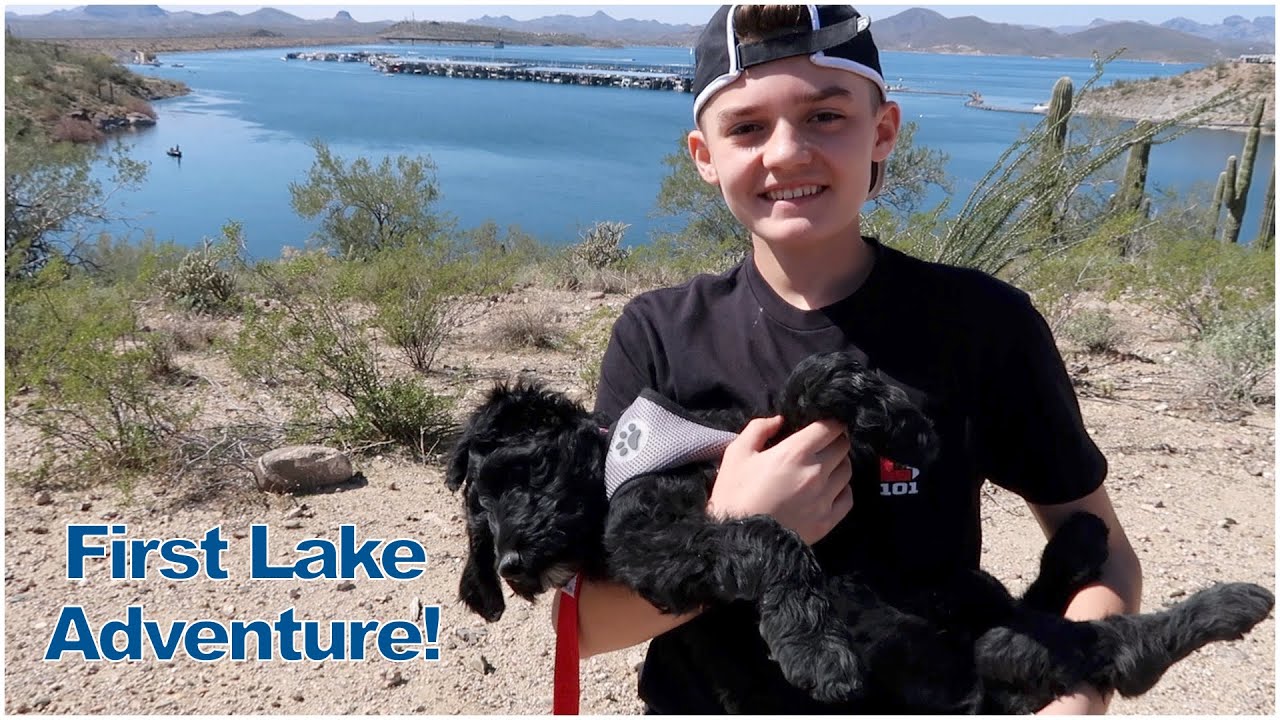 Baseball Bullpen and Ace's First Trip to the Lake