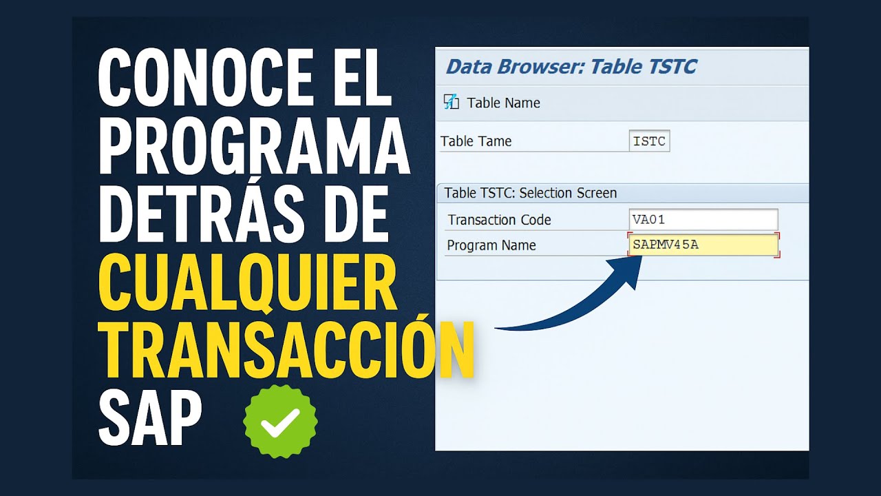 Conoce el Programa Detrás de Cualquier Transacción SAP | Trucos con ...
