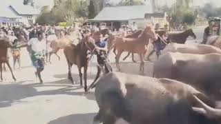 story wa  kaka main salah