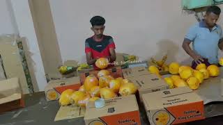 King Coconut Export තඹල අපනයනය