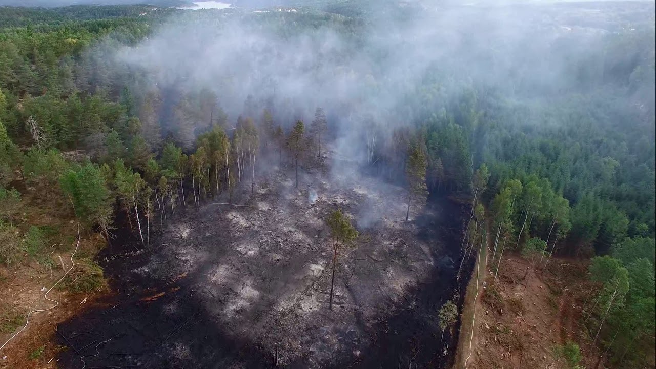 2018-08-01 Branden på Orust - Dagen efter