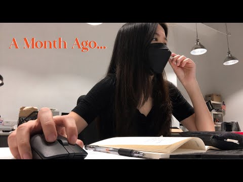 Vlog | A Month Ago...