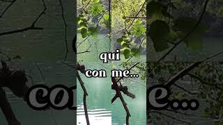 Vieni qui con me… #poesia #amore #shorts