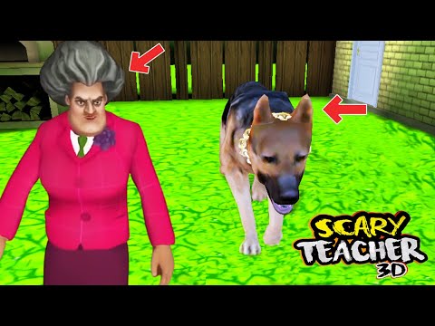 Video: Oyna Köpeğini Öğret