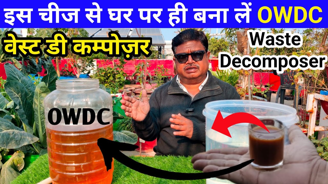 🍅 घर पर ही बनाऐ OWDC | OWDC बनाने का आसान तरीका | वेस्ट डी कंपोजर कैसे बनाएं | waste decomposer owdc