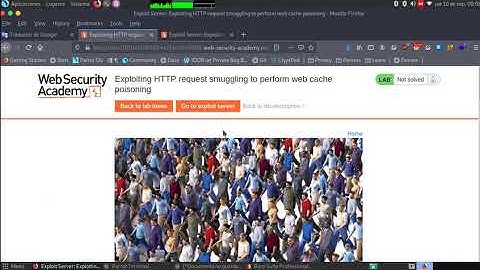 Exploiting HTTP request smuggling to perform web cache poisoning