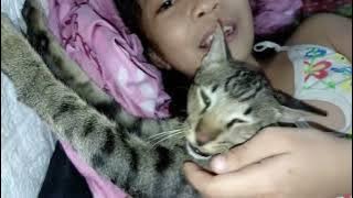 Super lambing na c choco 🐱😘😻