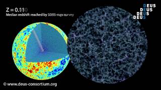 DEUS Full Universe Run - 3D dark matter distribution in redshift space