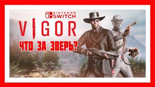 VIGOR на SWITCH, что ты такое?