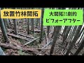 【放置竹林開拓】失敗の連続・・・ビフォーアフター動画と放置竹林について　５回目