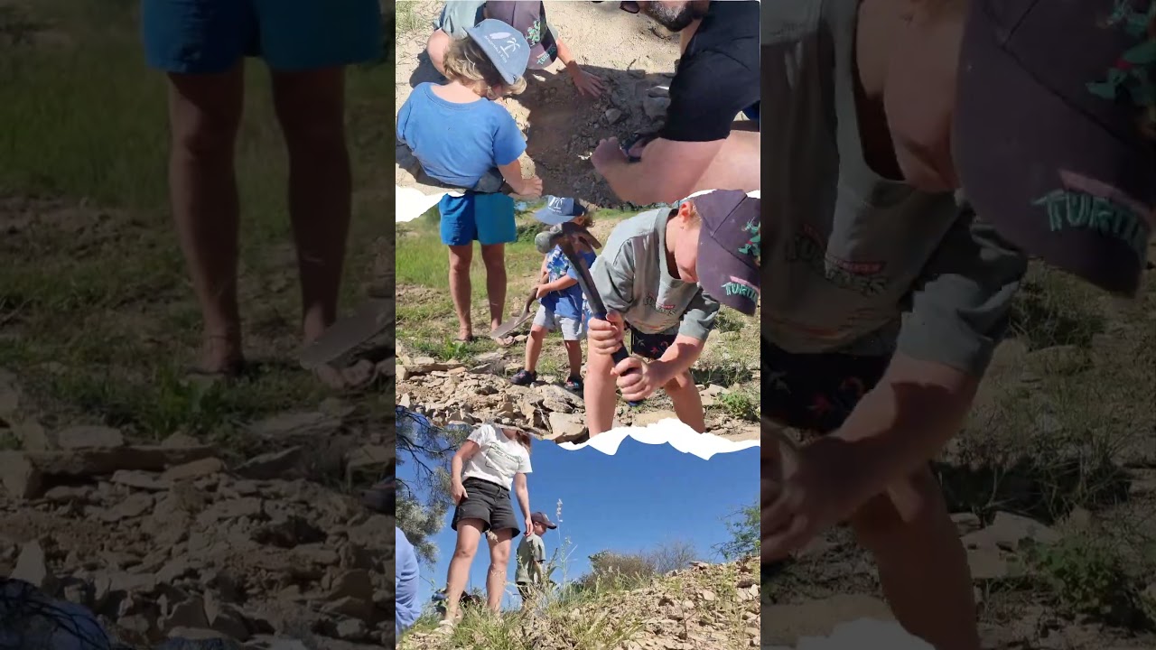 Dinosaur Fossil Hunting in the Australian Outback 