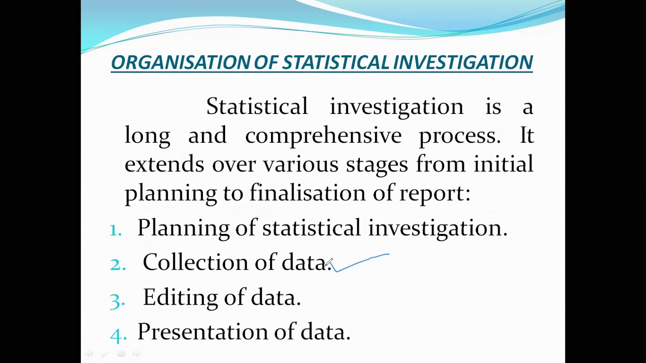 statistical investigation assignment