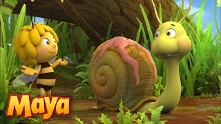 LA ABEJA MAYA 🐝 Partido ACCIDENTADO | Episodios completos 🐌 DIBUJOS ANIMADOS para NIÑOS 🐌 by La abeja Maya la serie 320,613 views 1 year ago 8 minutes, 2 seconds