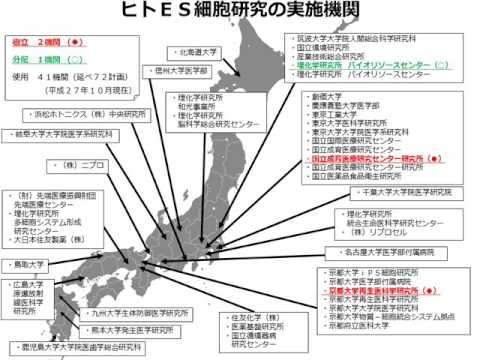 ヒト胚・幹細胞研究に関連する倫理指針のポイント：文部科学省生命倫理・安全対 策室