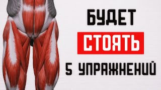 Упражнения для улучшения кровообращения в тазовой области | Как укрепить мужскую силу и повысить