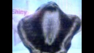 L'oreal paris with anne curtis