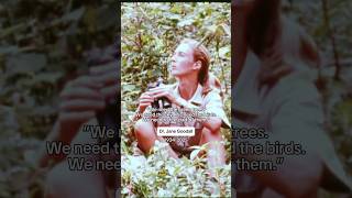Dr. Jane Goodalls vision lives on 💚
Dr. Jane Goodalls vision lives on: we’re all part of the natural world, and it’s on us to to protect it.
Let’s continue to honor her work by making her proud through every action we take for the planet 💚 Dr. Jane Goodalls vision lives on 💚