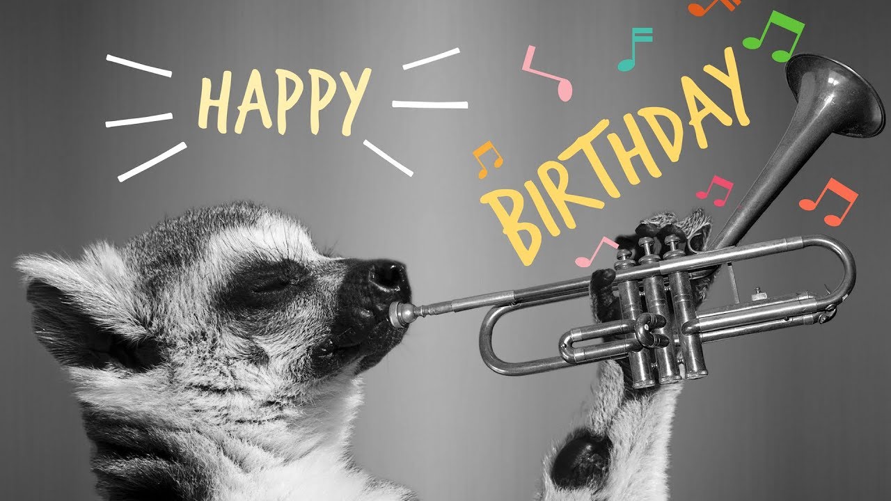 Happy birthday to you jazz version youtube
