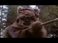 Wicket The Ewok - Star Wars Return Of The Jedi