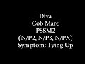 Symptoms Of PSSM2- Tying Up (Diva)