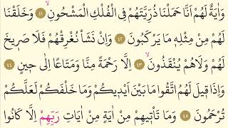 36-Surah Yasin- Nasser al Qatami -Arabic translation HD