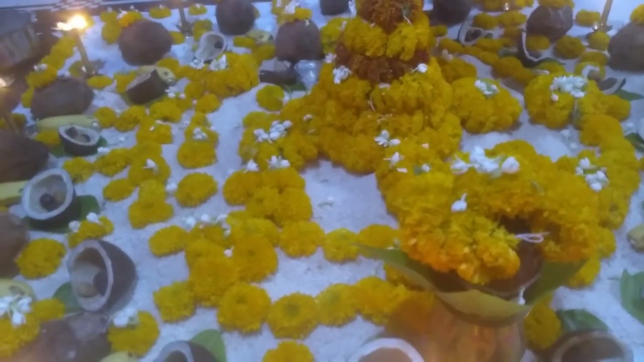 सोडून गेले गुरुराज कसे मला टाकून गेले गुरुराज