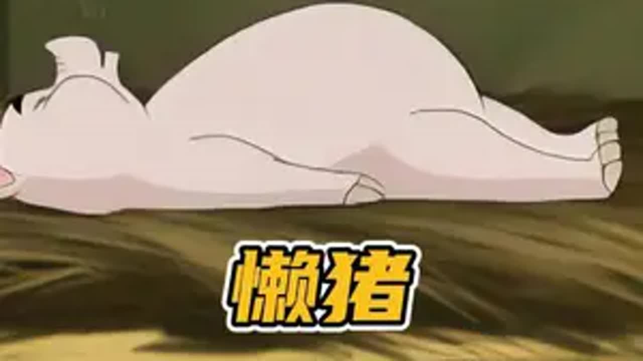 懒猪养成记 猪变懒的来由动画解说 怀旧动画 万万没想到 - YouTube