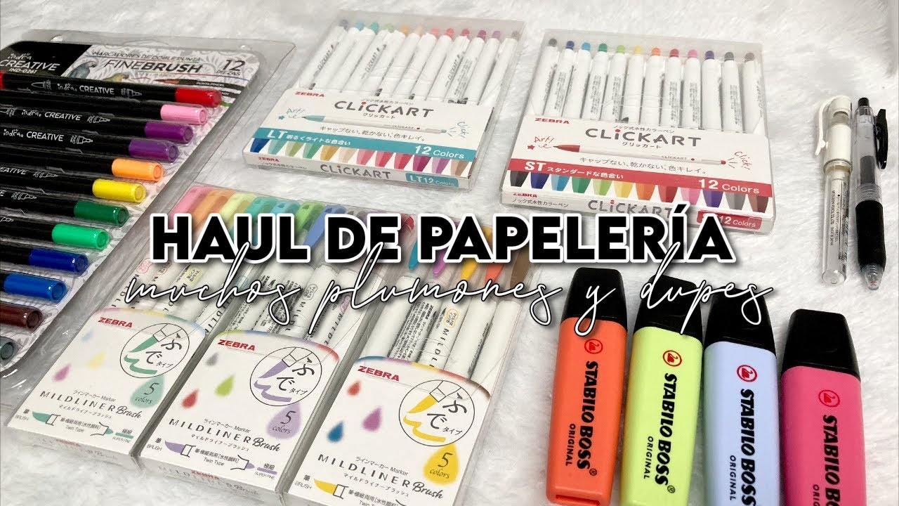 HAUL DE PAPELERÍA: Dupes, reseñas y muchos plumones EXCELENTES!🤯 / thelma study ✨