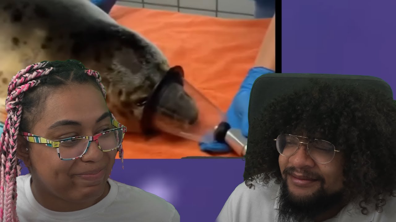 Daily Dose Of Internet!