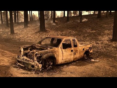 Video: Los Incendios Forestales De California Afectan Los Ojos Y El Sistema Respiratorio De Las Mascotas