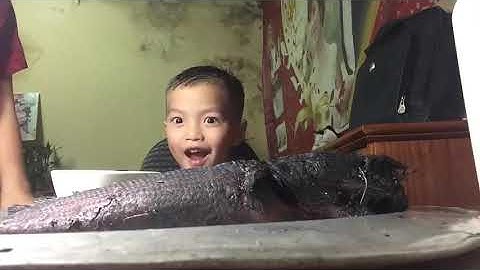 Cá chuối( lóc) nướng rơm.