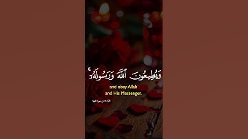 القرآن الكريم تلاوة خاشعة اللهم اجعل القرآن العظيم ربيع قلوبنا