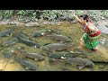 Top video fishing - Unique fishing - Catch fish to cooking - Primitive fishing