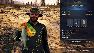 The Angler Diamond Common Dace Norway Reserve