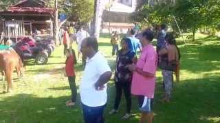 eight acres resort Raub  Pahang (7)   20141209 095032